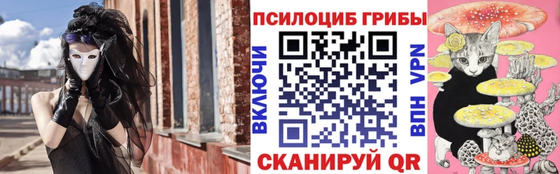 магазин продажи   Светлоград  Псилоцибиновые грибы GOLDEN TEACHER 